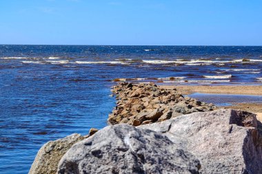 Sandy beach, kurutulmuş kamışı, taş duvar parçaları