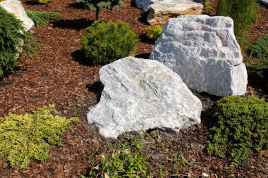 Peyzaj tasarımı. Çalılar, kayalar cüce çiçek Fern çeki düzen vermek