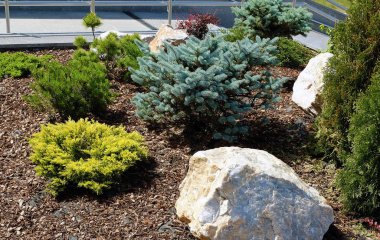 Peyzaj tasarımı. Çalılar, kayalar cüce çiçek Fern çeki düzen vermek