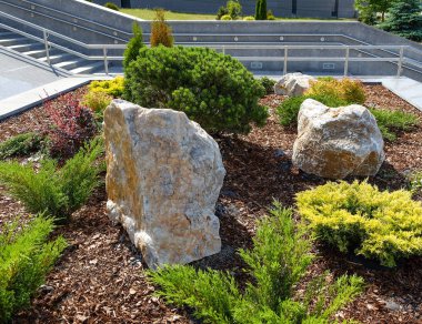 Peyzaj tasarımı. Çalılar, kayalar cüce çiçek Fern çeki düzen vermek