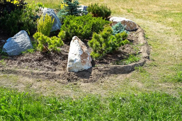 Landskapsplanering Buskar Stenar Dvärg Piffa Blommor Ormbunke — Stockfoto