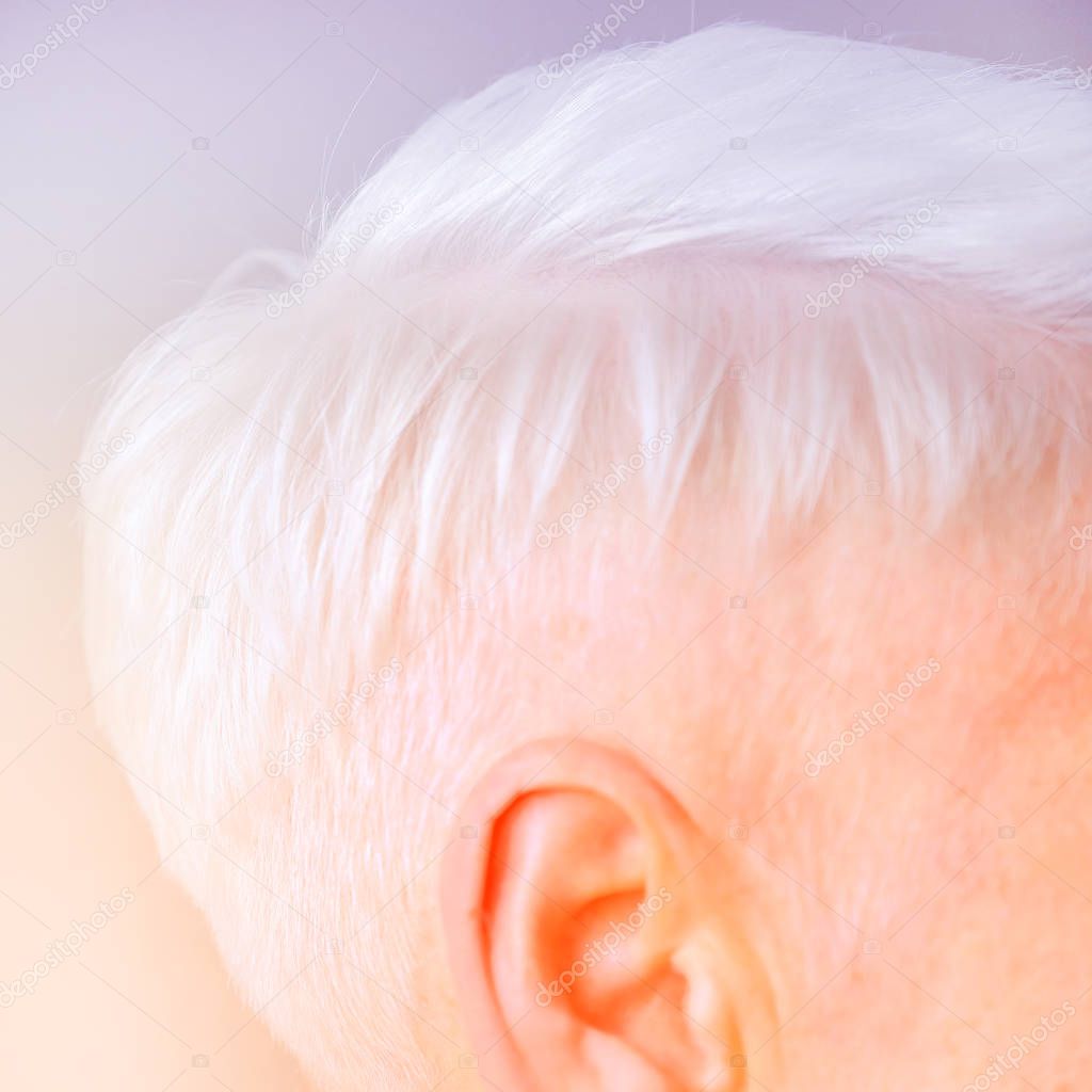 Corte De Pelo Corto De Mujer Perfil Elegante De Moda Con El Pelo Corto corte-de-pelo-corto-de-mujer-perfil-elegante-de-moda-con-el-pelo-corto