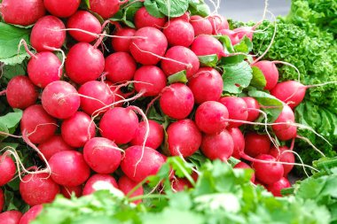 Bir sürü turp, yakın çekim. Çarşı, maydanoz, biber. Sarımsak, acı sos, turp.