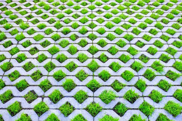 Green grass grows from decorative paving slabs.