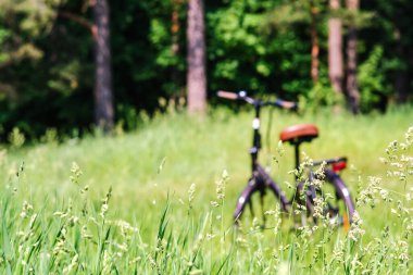 Arka plan, bulanık, bulanık, bokeh. Bisiklet çimenlikteki ormanda