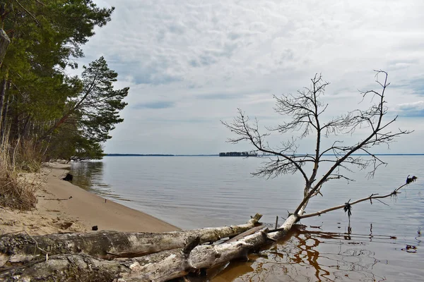 Panorama Rzeki Wołgi Wiosną — Zdjęcie stockowe