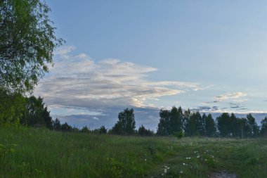 Yaz ormanında gün doğumu