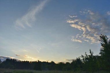 Yaz ormanında gün doğumu