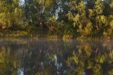 Nehirde sakin, sisli şafak