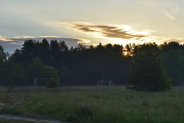 Восход Солнца Летнем Лесу — стоковое фото