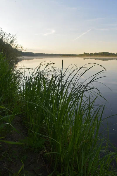 Aube Calme Brumeuse Sur Rivière — Photo