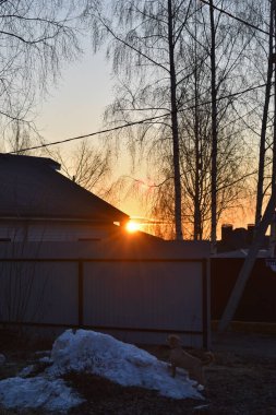 Küçük bir köyde şafak vakti