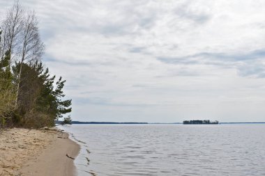 Yazın Volga Nehri kıyıları