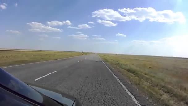 Car Movement Steppe — Stock Video