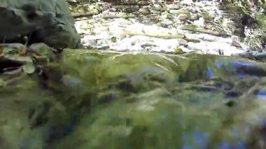 Bir dağ nehrinin berrak suyu