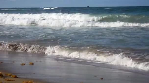 Ωκεάνια Κύματα Πλένουν Την Αμμώδη Παραλία — Αρχείο Βίντεο