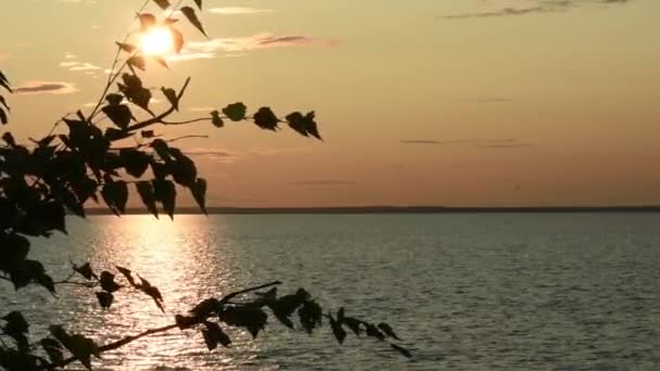 Cálida Puesta Sol Colorida Río Volga — Vídeos de Stock