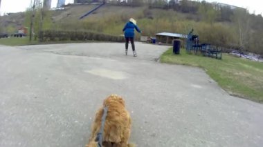 Köpek kızın peşinden koşar.