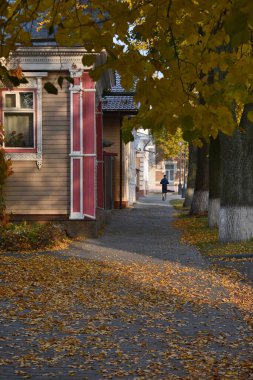 Eski kasabadaki sessiz sonbahar bahçesinde