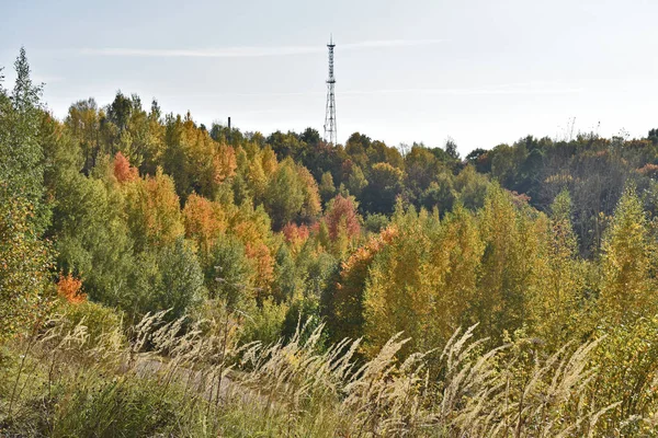 Otoño Colorido Nizhny Novgorod — Foto de Stock