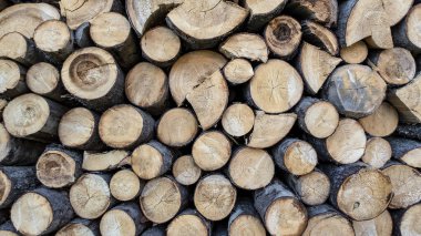 Sawn timber harvested in the woodpile, close-up clipart