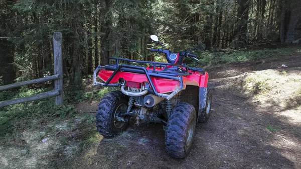 kırmızı dört kiralama orman, yakın çekim, arkadan görünüm