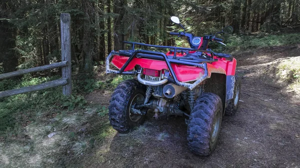 Quad Rojo Bosque Primer Plano Vista Trasera — Foto de Stock