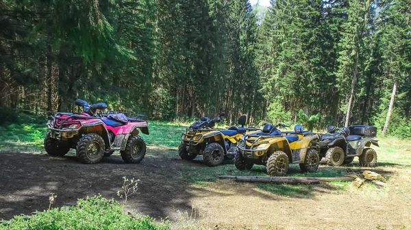 Quad Велосипеді Atv Сосновому Лісі Влітку — стокове фото