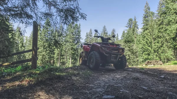 Piros Quad Motor Erdő Oldalsó Elülső Kilátás — Stock Fotó