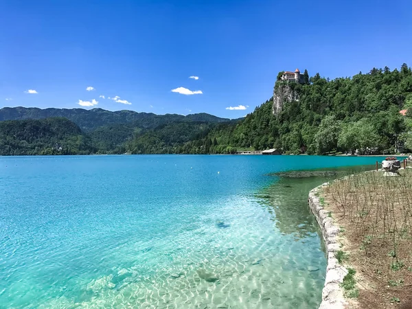 Lac Bled Avec Château Montagnes Slovénie Europe — Photo