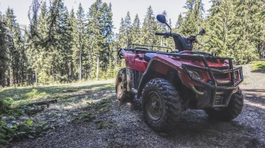 ormanda, yan ve ön görünüm kırmızı dört kiralama