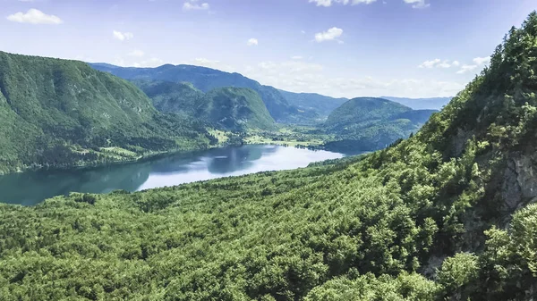 Vista Superior Lago Bohinj Slovenia — Fotografia de Stock