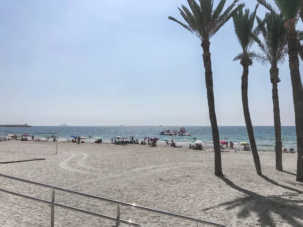 España Julio 2017 Palmeras Costa Una Playa Frente Mar Azul —  Fotos de Stock