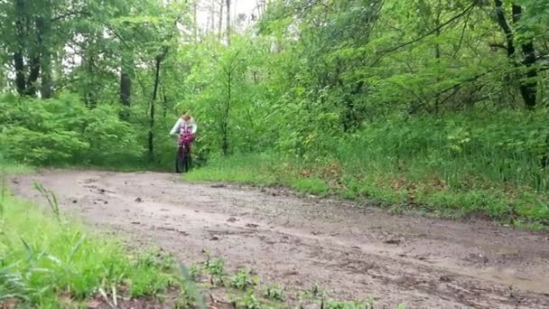 健康的生活方式 一群朋友骑自行车在森林的路径上 底部的看法 — 图库视频影像