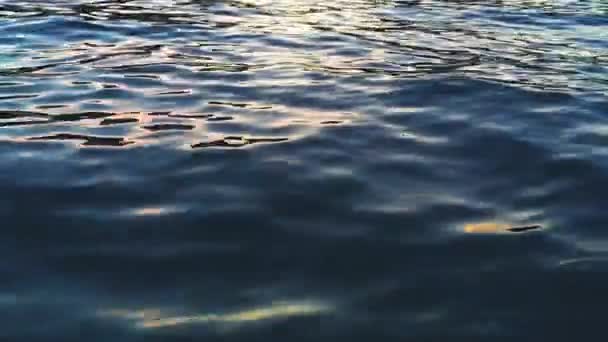 川の青い波 — ストック動画