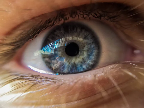 Makro Güzel Mavi Göz — Stok fotoğraf