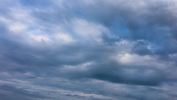 Overgegoten Hemel Met Vliegende Vogels — Stockvideo