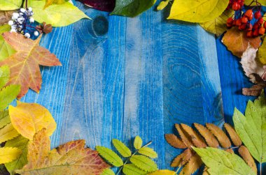 Sonbahar yaprakları mavi arkaplan üzerinde metin altında sonbahar arkaplanı