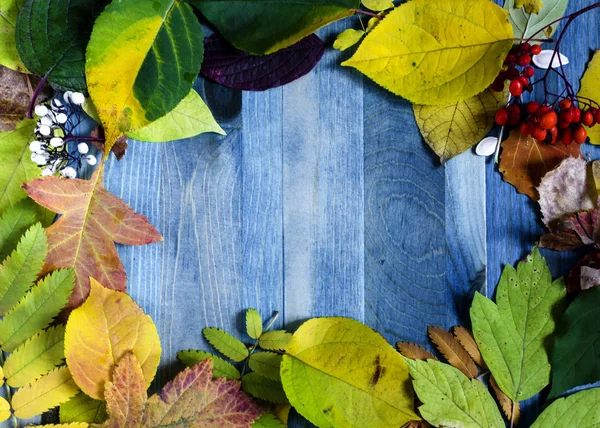 Autumn Leaves Blue Background Autumn Background Place Text — Stock Photo, Image