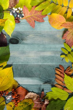 açık yeşil zemin üzerinde parlak sarı, kırmızı, yeşil yapraklar ve böğürtlen içeren ahşap arkaplan metin sonbahar arka planının altında dikey