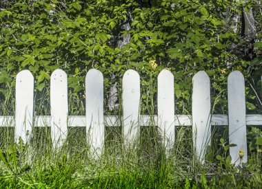 Yeşil bir bahçe içinde küçük bir beyaz çit