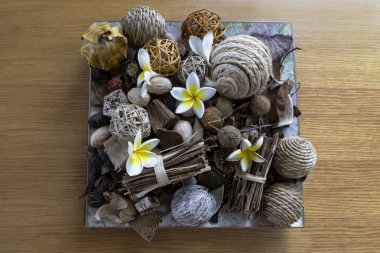 Kurutulmuş ve canlı bitkiler dekoratif kompozisyon