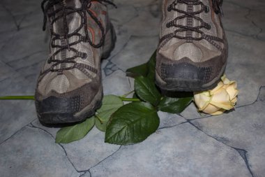 Resentment ve hayal kırıklığı