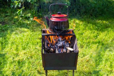 alternatif enerji kaynakları