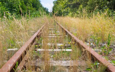 Paslı raylar uzakta, yeşil orman her yerde. Modası geçmiş yol kavramı ve değişim ihtiyacı..