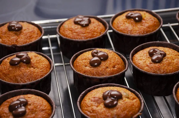 Pumpkin Muffins with Chocolate on the Rack for Cooling