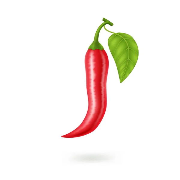 Pimenta natural quente vermelha realista, imagem isolada com sombra. Ilustração vetorial EPS10 —  Vetores de Stock