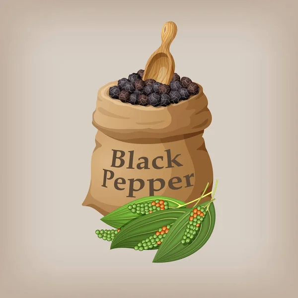 Zwarte peper-maïs in de zak. Vectorillustratie — Stockvector