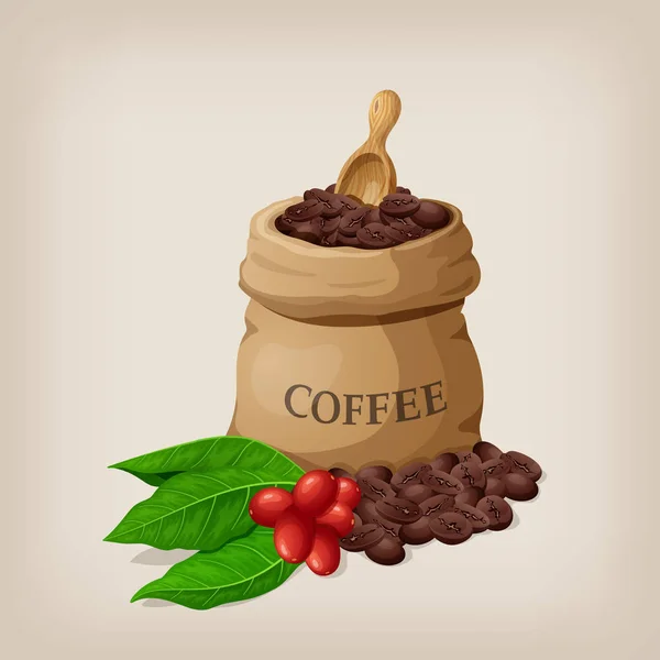 Sac à café avec haricots dans un sac en toile et branche de café avec des feuilles. Illustration vectorielle — Image vectorielle