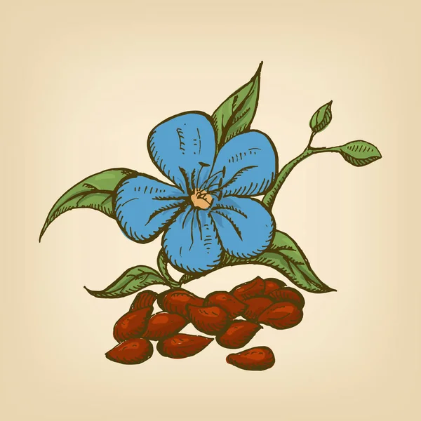 Semi secchi di lino scuro con fiori. Illustrazione vettoriale . — Vettoriale Stock